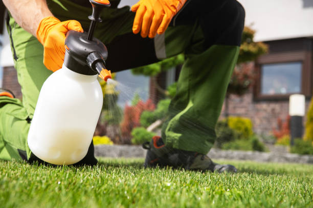 Professional Pest Control in Shadybrook, TX