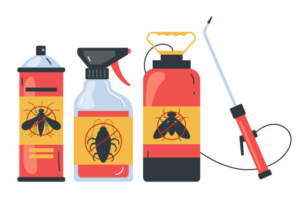 Best Bed Bug Extermination  in Shadybrook, TX