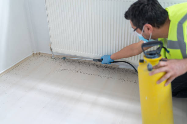 Best Cockroach Control Services  in Shadybrook, TX
